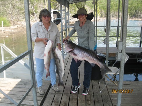 Nice Striped Bass